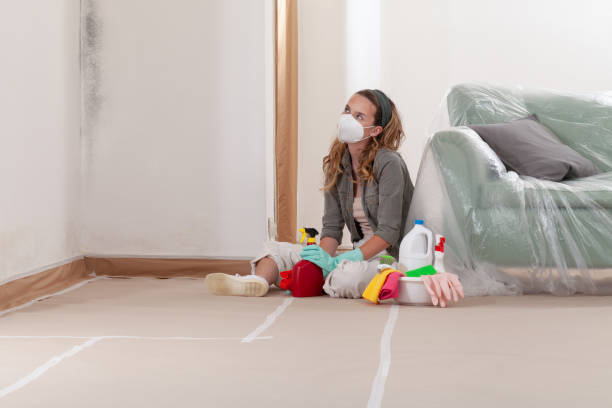 Reliable Mold Remediation contractor in Oregon, OR by WQB Mold Removal